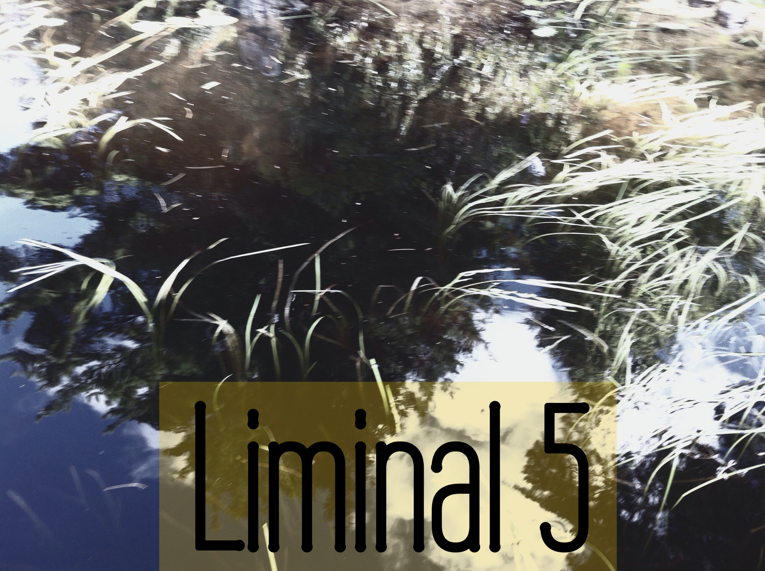 Liminal 5, Robert Hoare